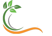 Eco System All Recupero